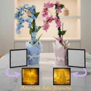 ogretmenler gunu hediyesi isikli fotografli saksi cicegi ve dekoratif cicek seti